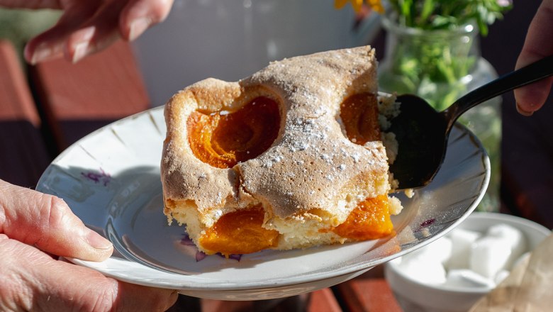 matthias-poechlinger apricot cake, &copy; Weinbau Matthias P&ouml;chlinger