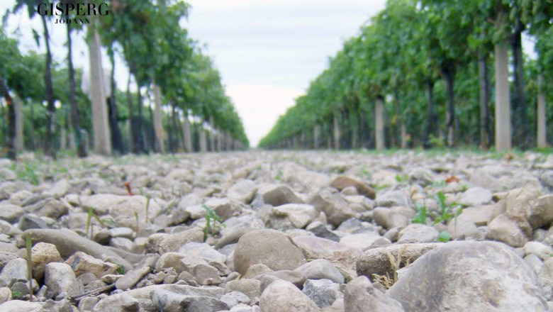 The limestone gravel soils of the Steinfeld, &copy; Weingut Johann Gisperg