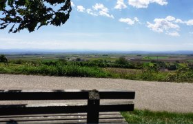 Riedweg, &copy; Verena Schnatter