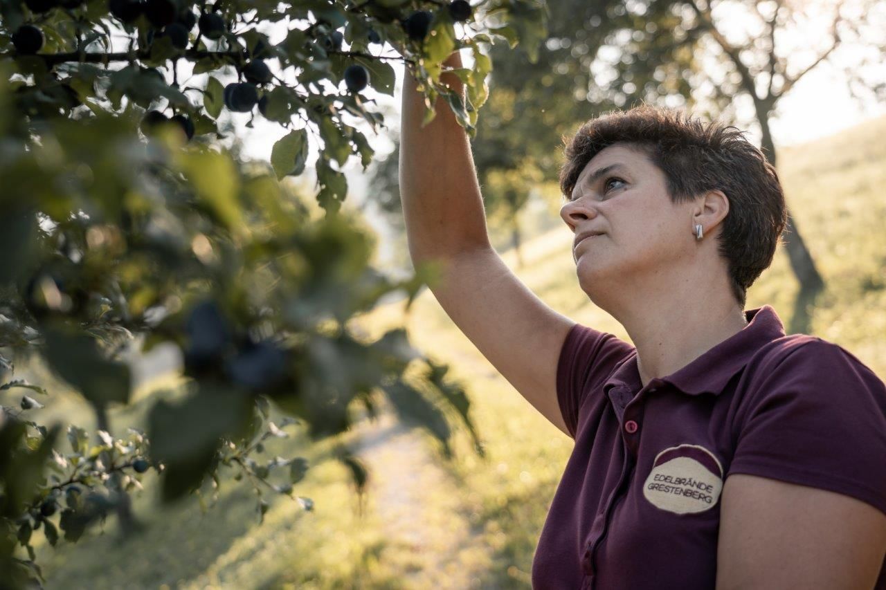 Farma Grestenberg