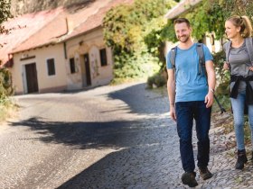 Kellergasse Rohrendorf, &copy; Donau Nieder&ouml;sterreich