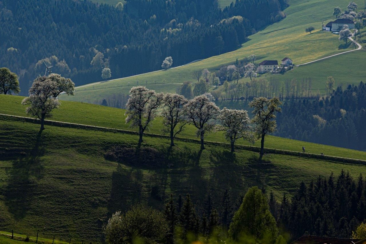 Fotografický bod Mostviertel