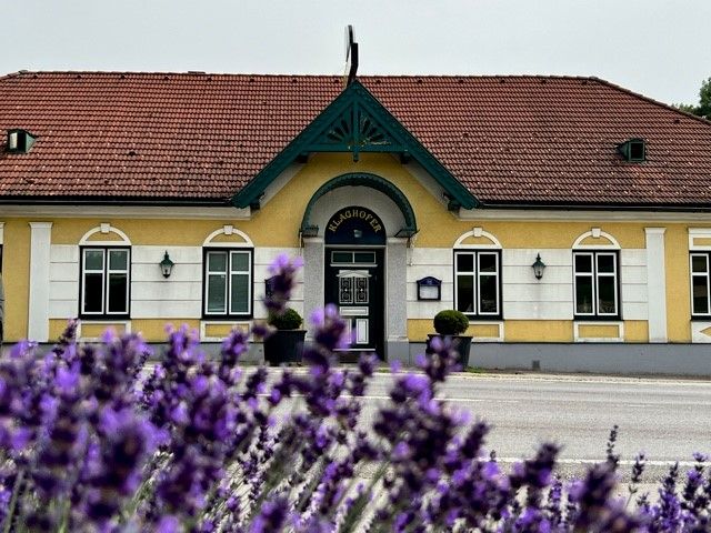 Žltá budova s červenou strechou a zelenými ozdobami, v popredí kvitnúca levanduľa.