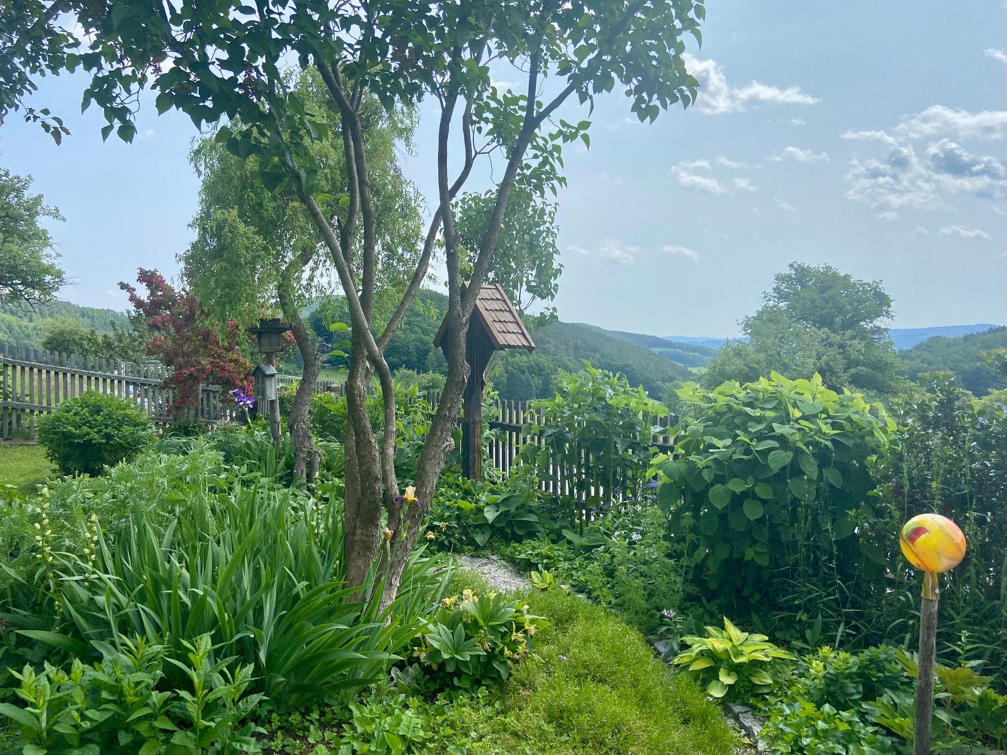 Zelená záhrada so stromami, kríkmi a dreveným plotom v pozadí.