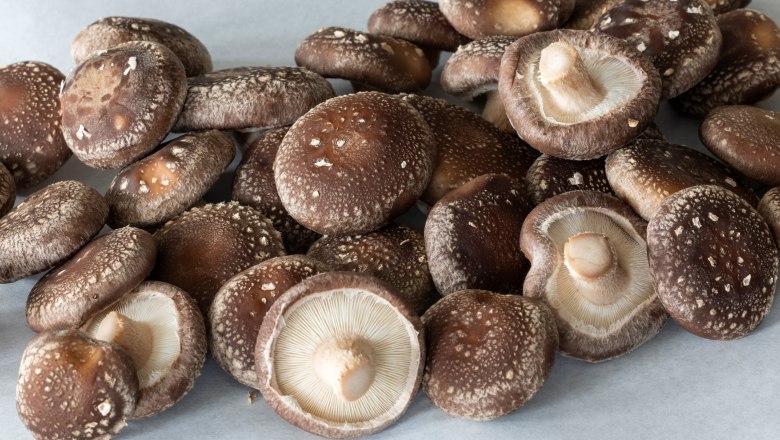 Emperor mushrooms, &copy; Theo Kust