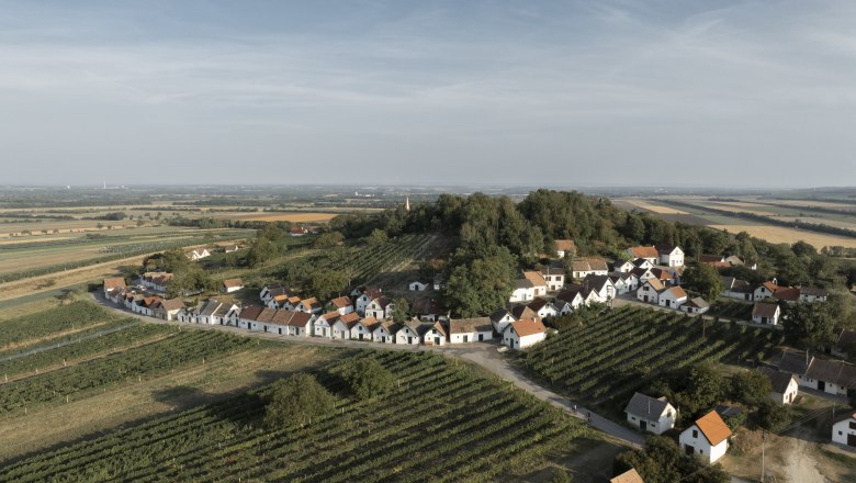 The Galgenberg in Wildend&uuml;rnbach, &copy; Weinviertel Tourismus GmbH / Fr&uuml;hmann