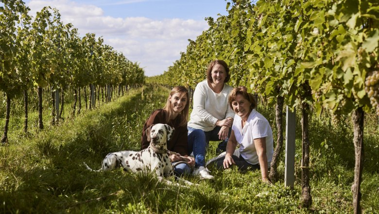 A good team, &copy; Stefan Joham