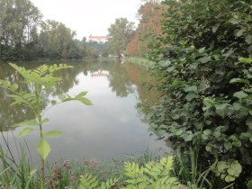 Biodiversit&auml;tsweg, &copy; Mostviertel