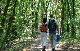Grandfather story listening station, VIA.CARNUNTUM., © Donau Niederösterreich, Steve Haider