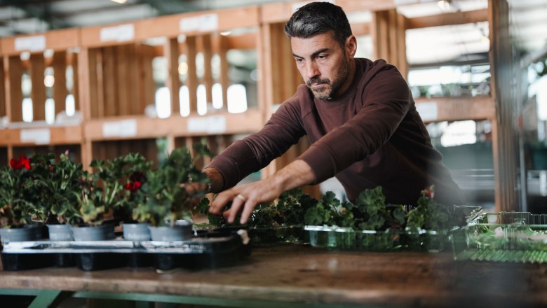 Starkl dobrodružn&aacute; z&aacute;hrada, &copy; Moststra&szlig;e, dochbodnliacht