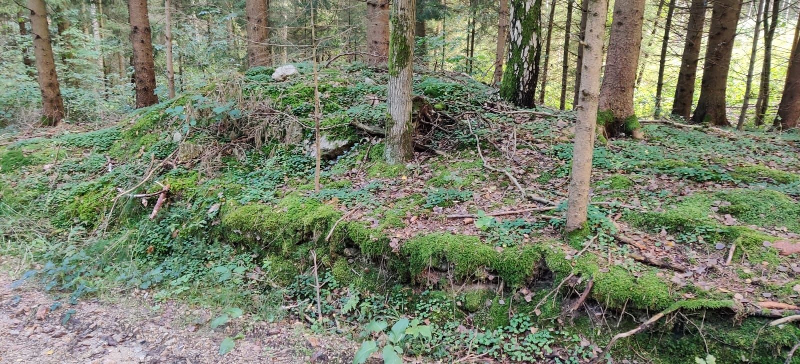 Aubergova ulica