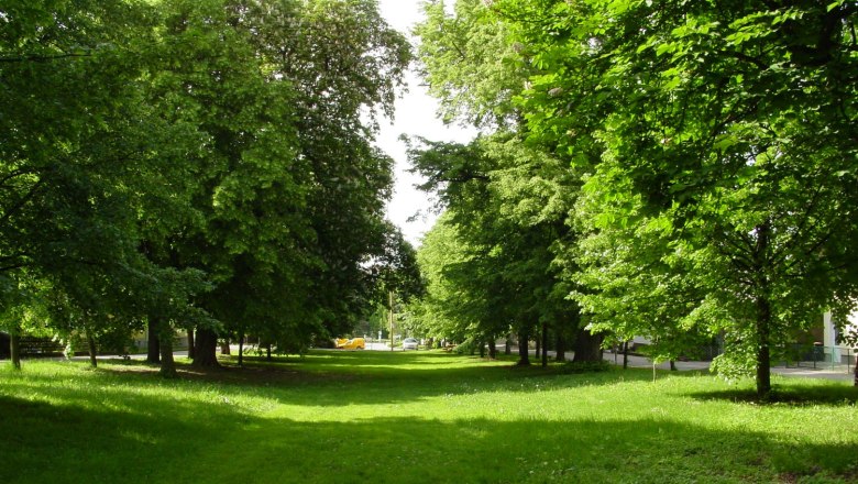 avenue, &copy; Gemeinde Ladendorf