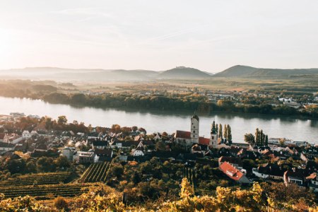 Kremstal: Skalné podložie vo vinohrade, © Romeo Felsenreich