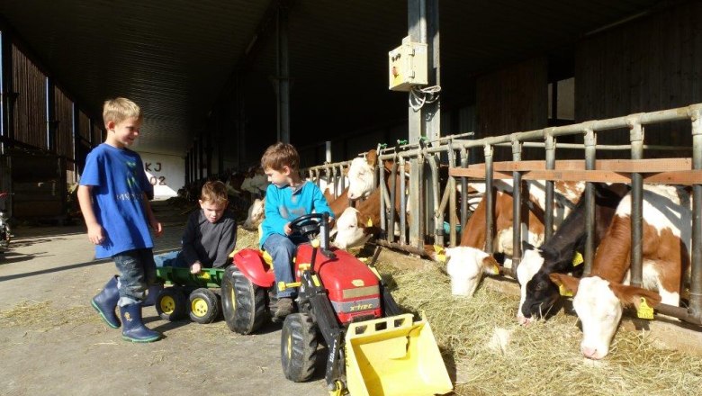 Kerndlerhof children in the stable, &copy; Kerndlerhof