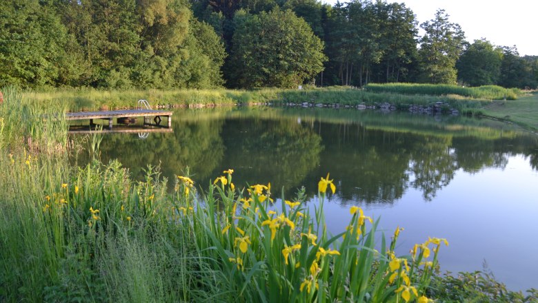 Bathing pond, &copy; privat