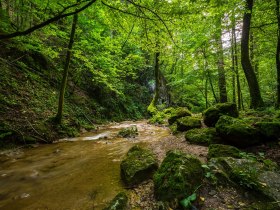 Johannesbachklamm, &copy; Wiener Alpen in Nieder&ouml;sterreich