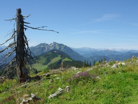 Haute Route Nieder&ouml;sterreich, &copy; Mostviertel