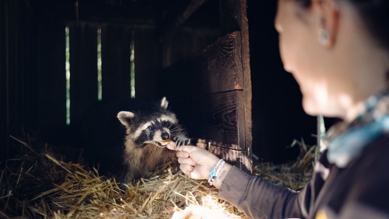 0080_Moststra&szlig;e_Tierpark-Stadt-Haag_20250929-7683-001, &copy; Moststra&szlig;e, dochbodnliacht