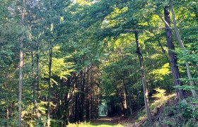 Rossatzbacher Seegraben na chate Adeleh&uuml;tte, &copy; Radler-Rast
