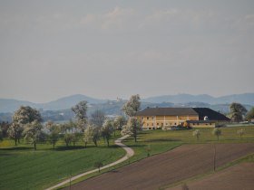 Eindrucksvolle Vierkanth&ouml;fe s&auml;umen den Weg, &copy; VSE, Gstettenhofer Lucia