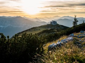 Bergsommer auf der Rax, &copy; Nieder&ouml;sterreich Werbung/Robert Herbst