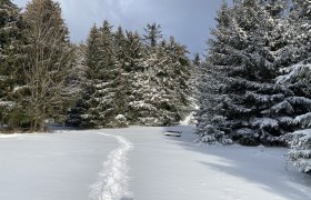Snowshoeing on the Hohe Wand, &copy; Outdoordynamik