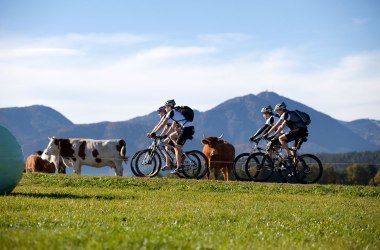 MTB vo Viedenských Alpách, © mountainbikeguides.com