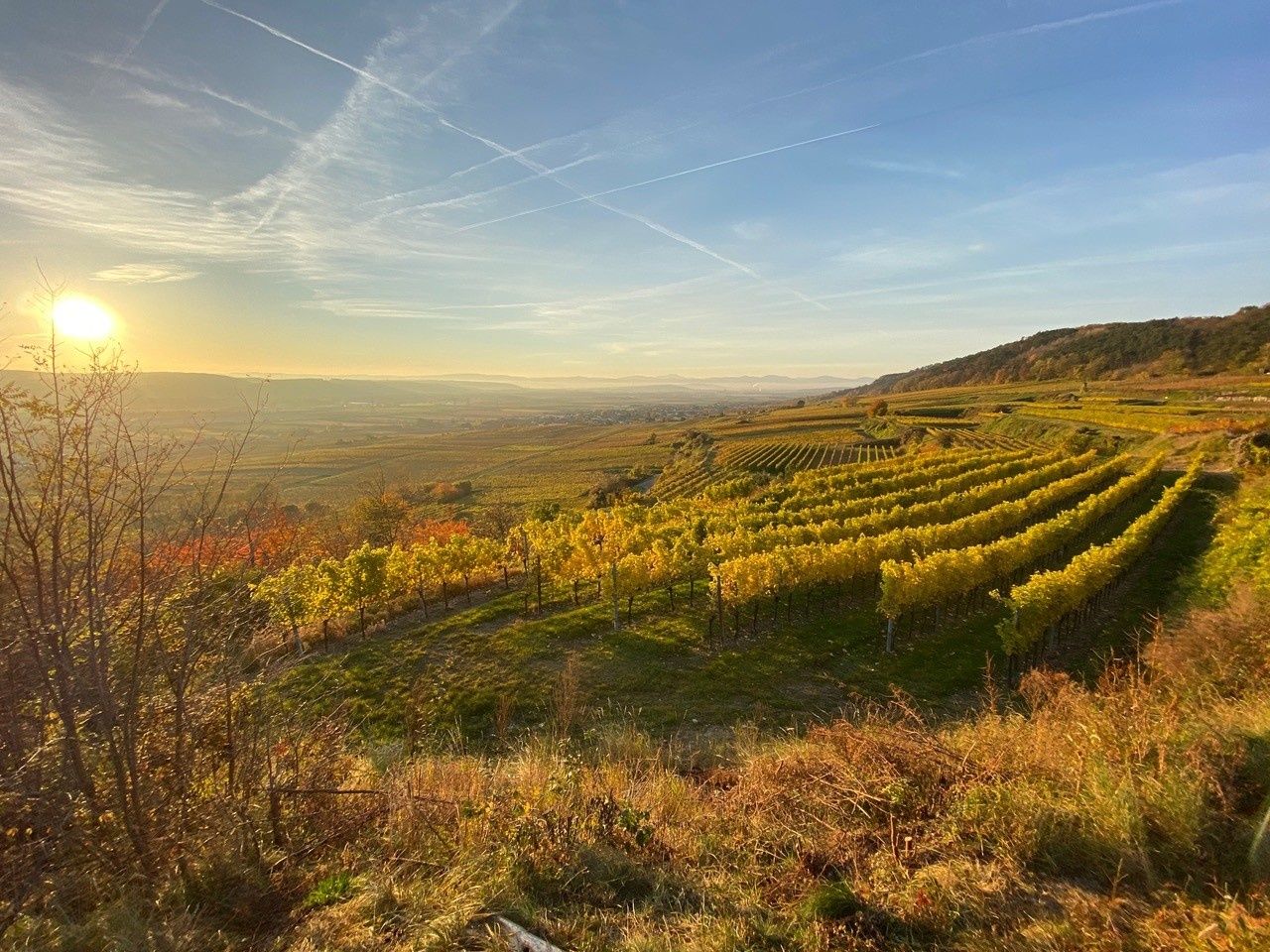 Jesenná atmosféra vo vinárskej oblasti Traisental