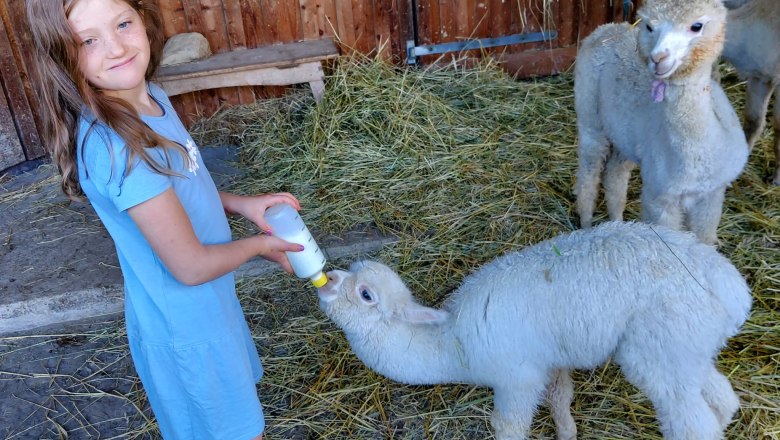 Alpkahof Klosterneuburg, © Alpakahof Klosterneuburg