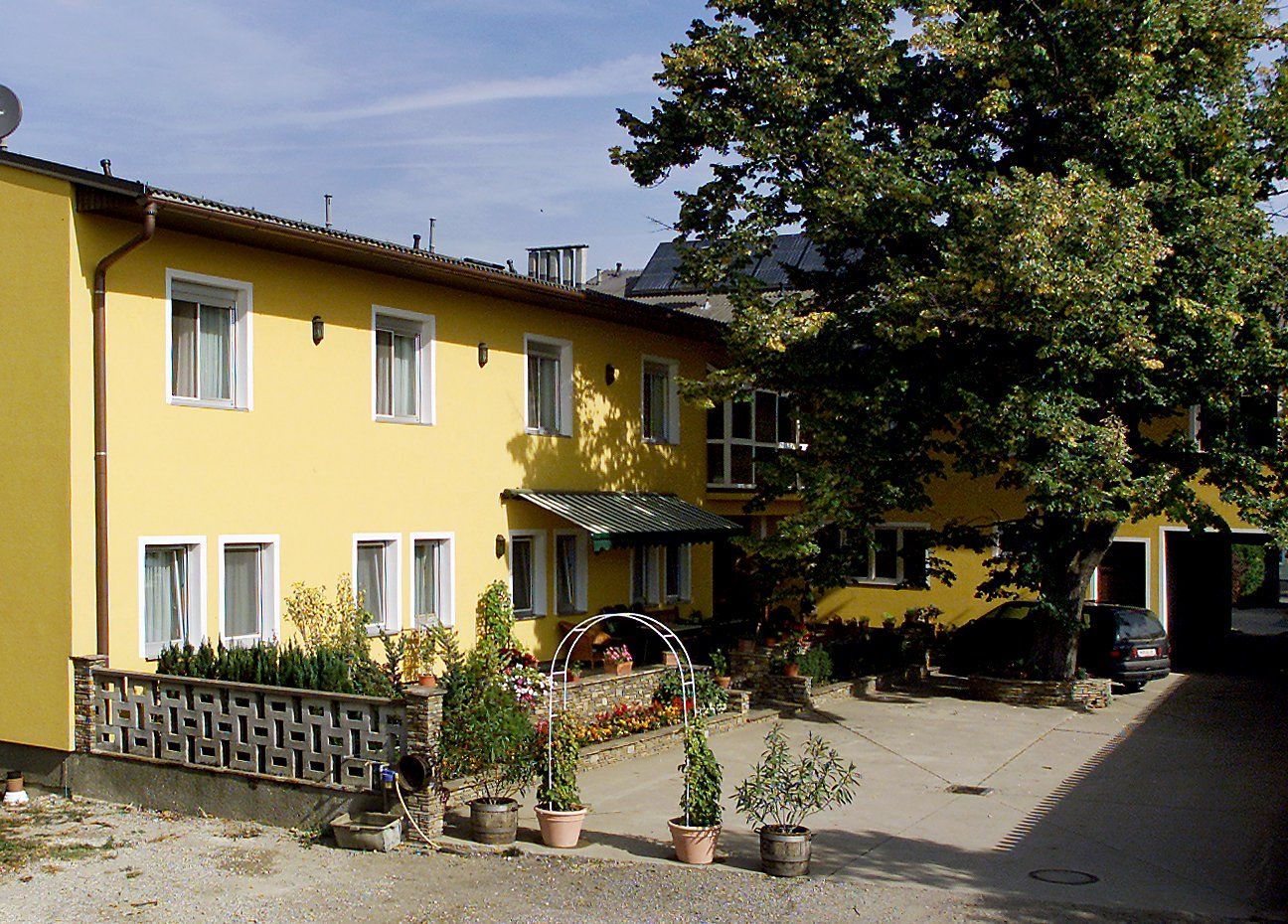 Žltá budova s niekoľkými oknami, rastlinami v popredí a veľkým stromom vedľa nej.