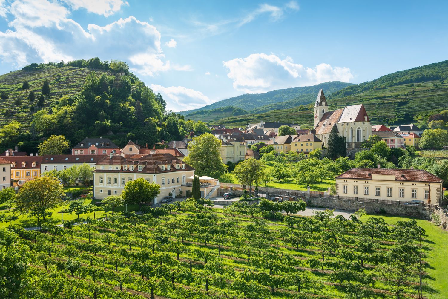 Krajina s vinicami, kostolom a domami v rakúskom Spitzi.