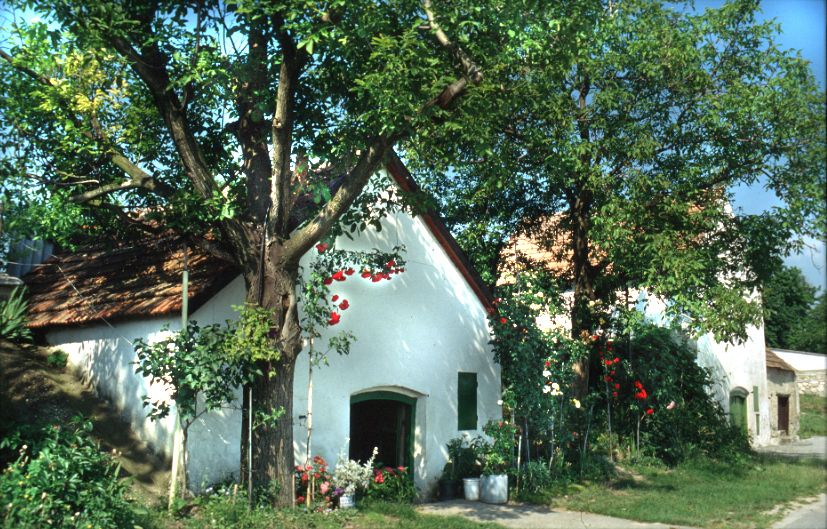 Biely dom s červenou strechou, obklopený stromami a kvetmi.