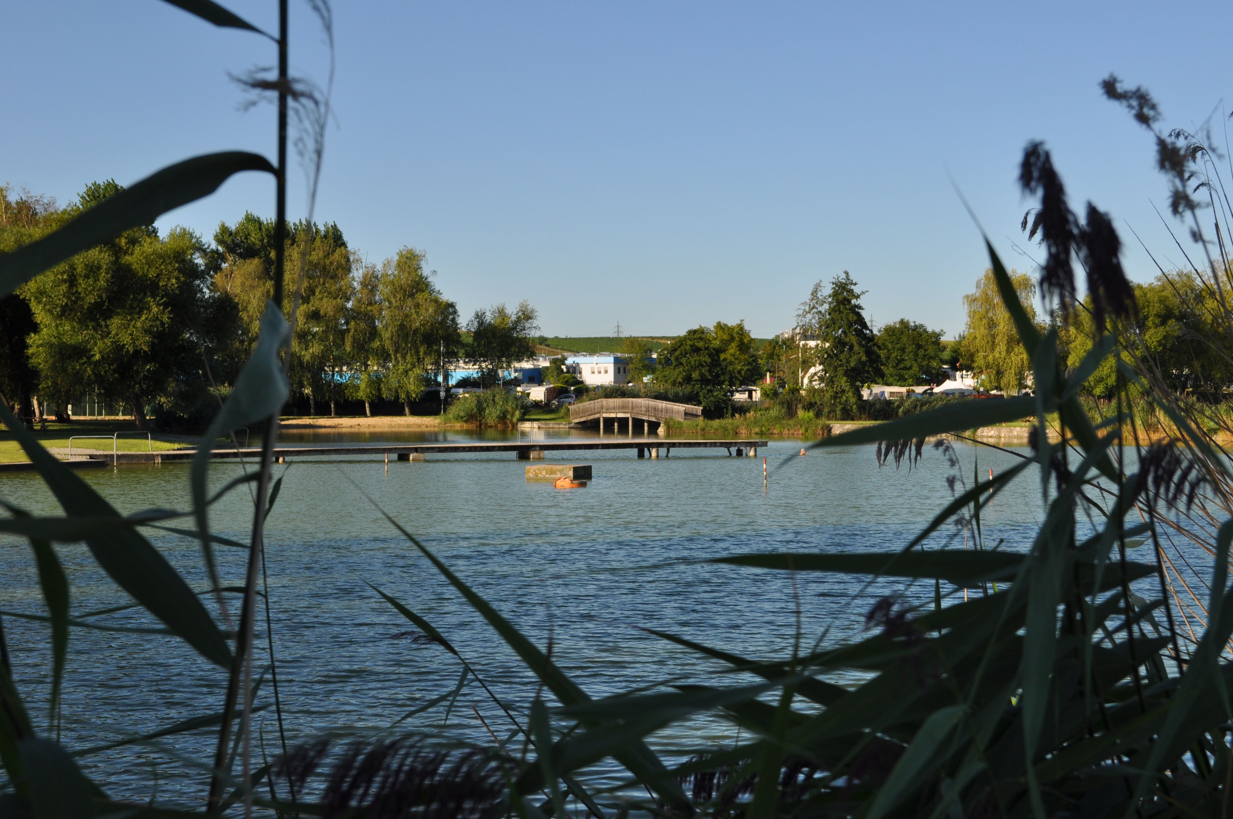 Tichý rybník na kúpanie s mostom a stromami v pozadí, orámovaný trstinou.