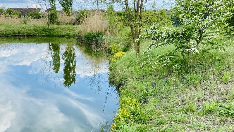 Vodný svet Watzelsdorf
