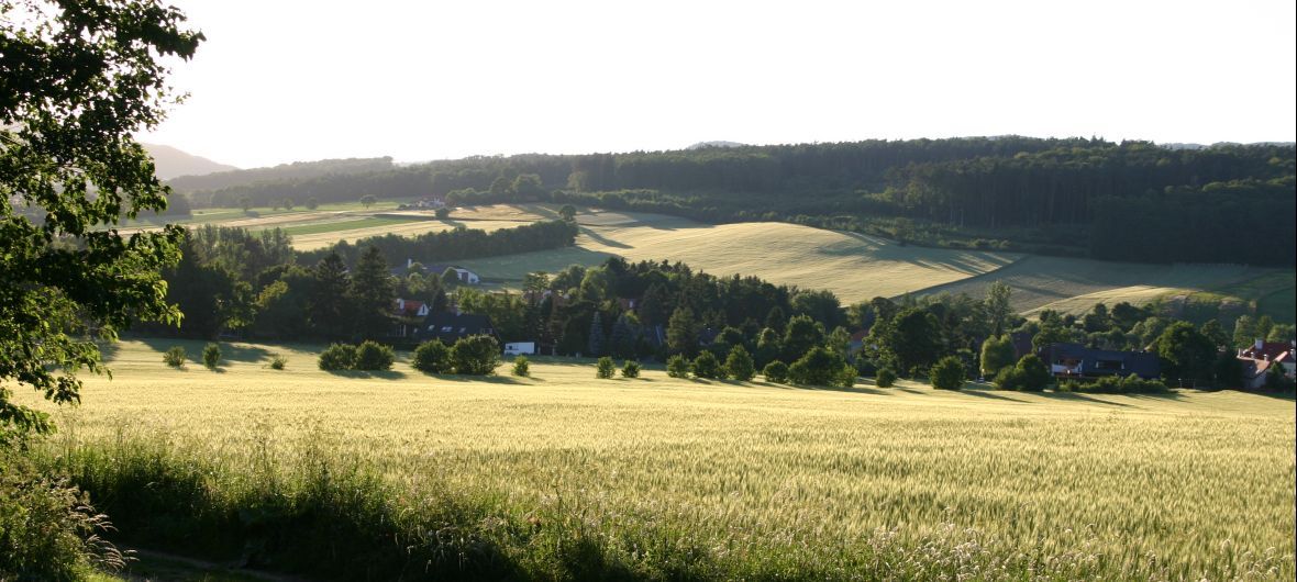 Krajina s poliami, stromami a domami v pozadí.