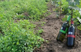 Ehm wines, &copy; Ehm-Weine