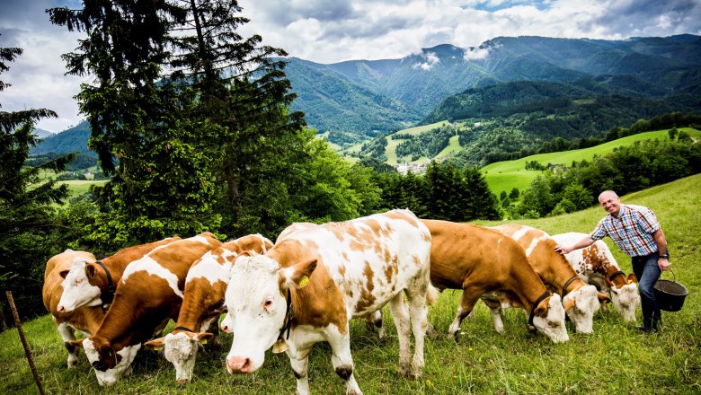 Organic farm Hinterstockreith, © Theo Kust