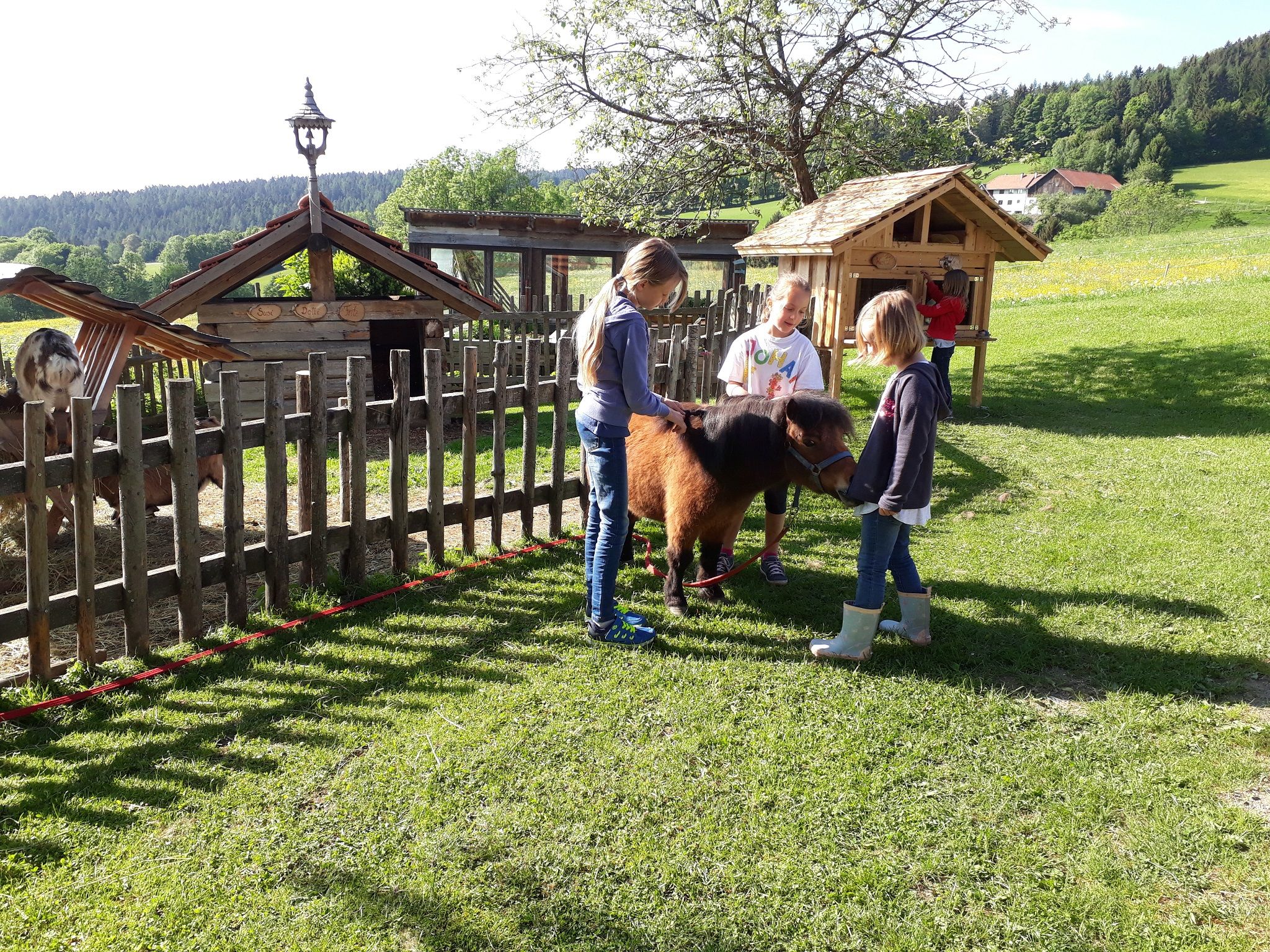 Deti hladkajú poníka na lúke vedľa dreveného plota a malých budov.