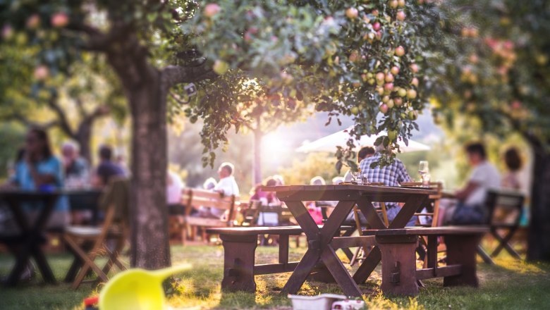 Wine tavern Polz guest garden, © Daniela Matejschek