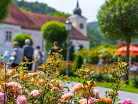 Rosengarten mit Pfarrhof Pitten, &copy; Wiener Alpen, Christian Kremsl