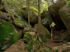 Luaga Lucka, Naturerlebnis, &copy; Waldviertel Tourismus, Matthias Schickhofer