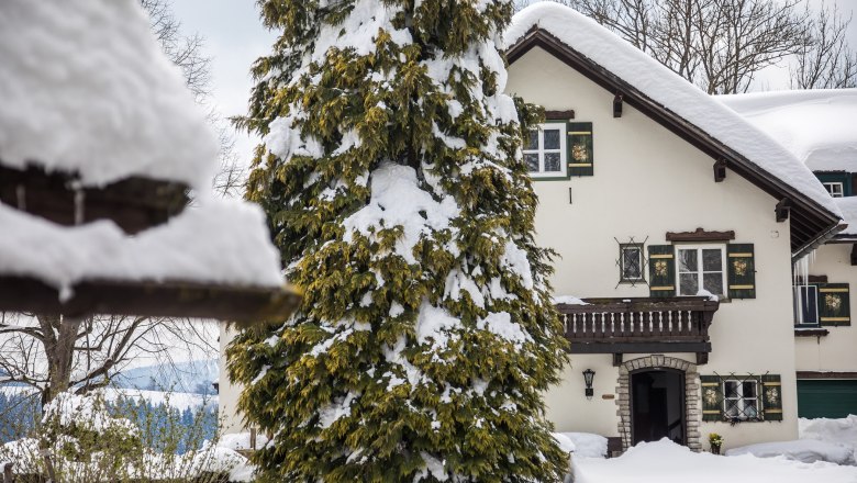 Kobichl in winter, © fred lindmoser