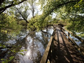 Naturlehrpfad Feldmühle, © Werner Jäger