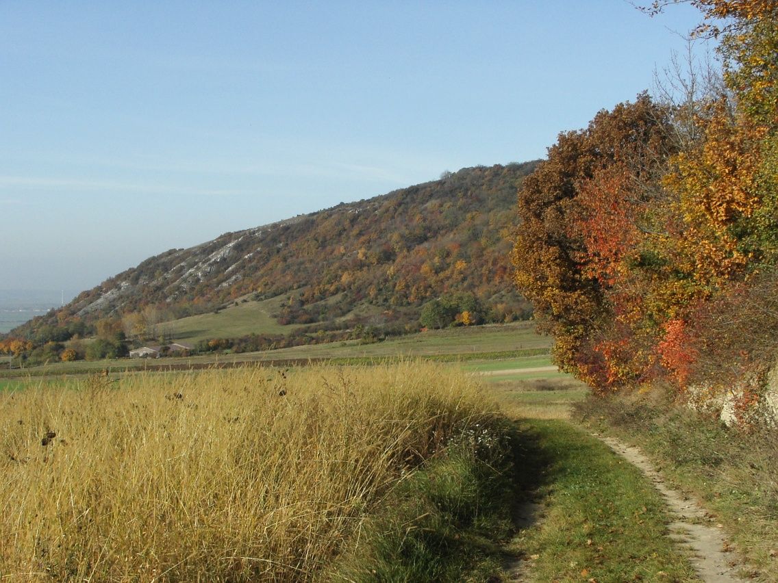 Pohorie Hundsheim
