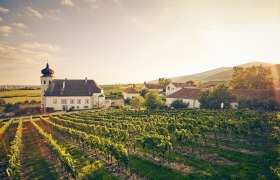 Majetok Thallern, © Niederösterreich Werbung/Andreas Hofer