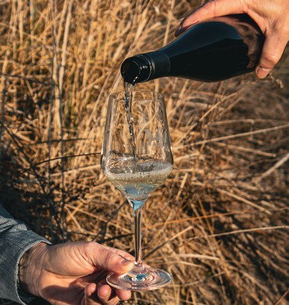 Vin&aacute;rstvo Riedl_03, &copy; Weingut Riedl