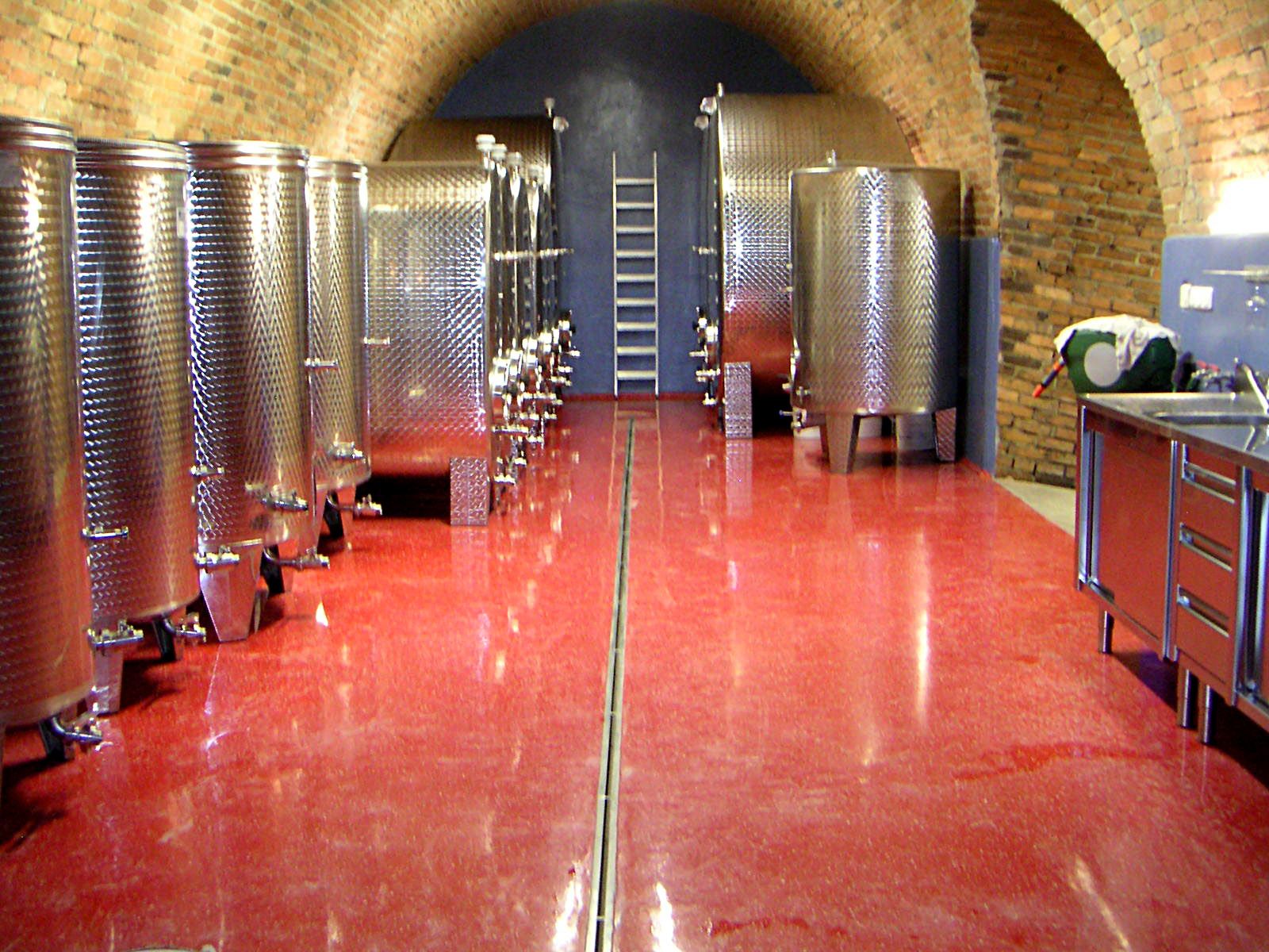 fotografia pivnice