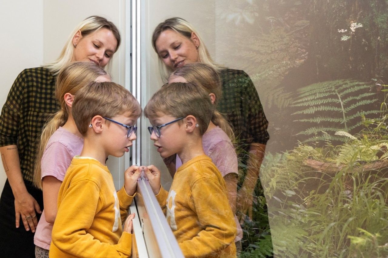 hdw-ausstellung2