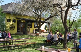 Wine tavern in the guest garden, &copy; Mayer-H&ouml;rmann