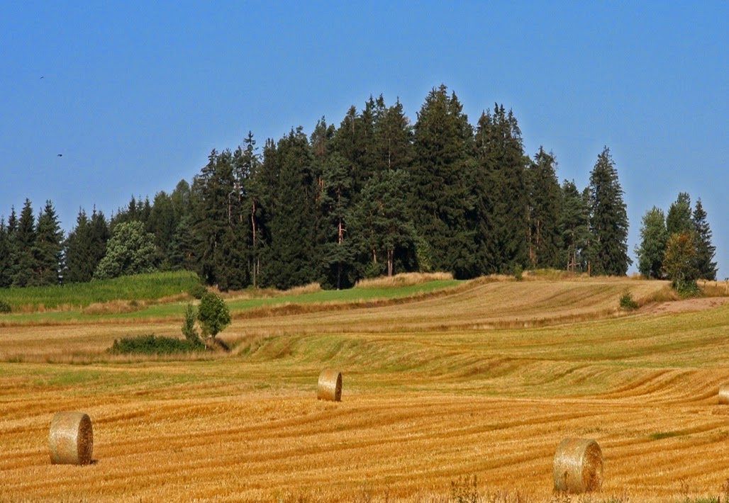 Balíky slamy